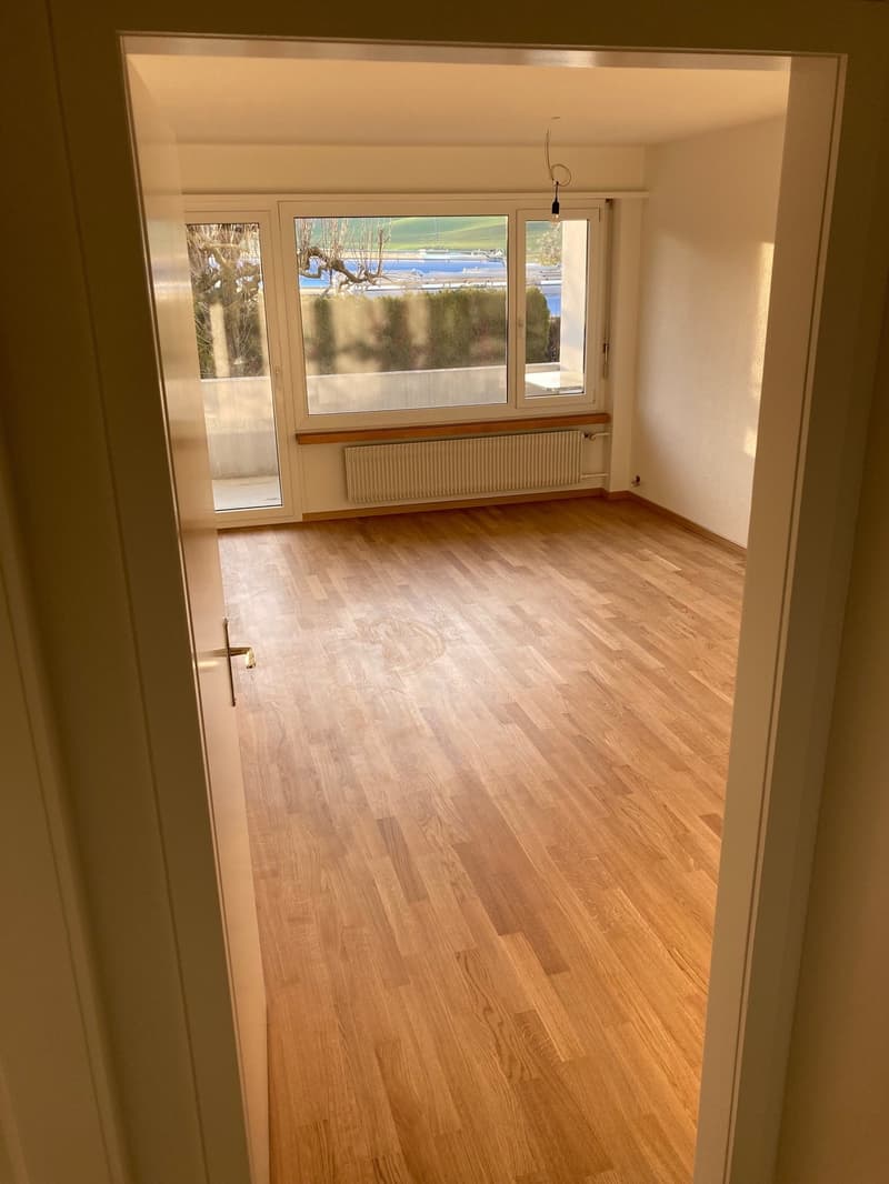 empty room, wooden floor, large windows, view, white walls, radiator