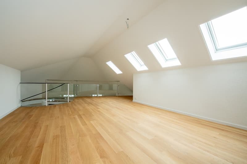 empty room, wooden floor, white walls, glass railing, skylights