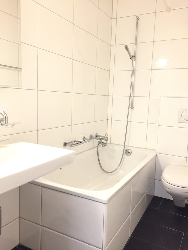 À louer appartement de 3,5 pièces calme et ensoleillé ! (4)