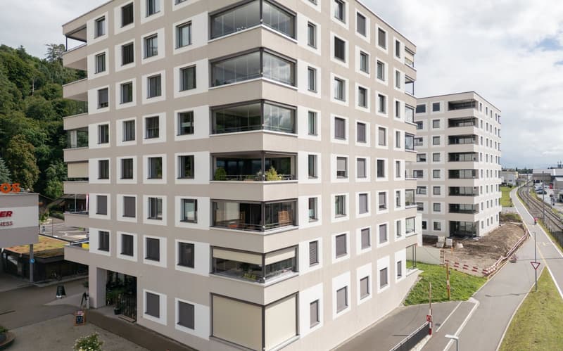 Appartamento esclusivo 3.5 locali con vista meravigliosa a Heimberg in affitto (7)