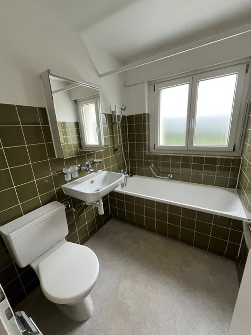 À louer immédiatement ! Appartement 4.5 pièces entretenu (5)