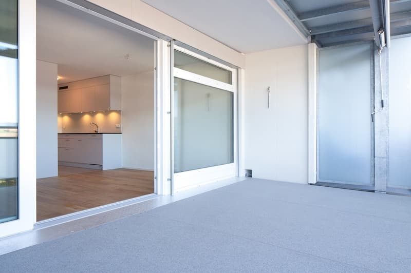 Appartamento moderno 2.5 locali in una zona tranquilla (4)