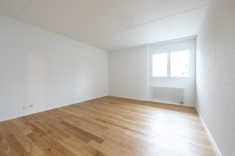 Zu vermieten 5.5-Zimmerwohnung in der Kassematte nach Gesamtsanierung (4)