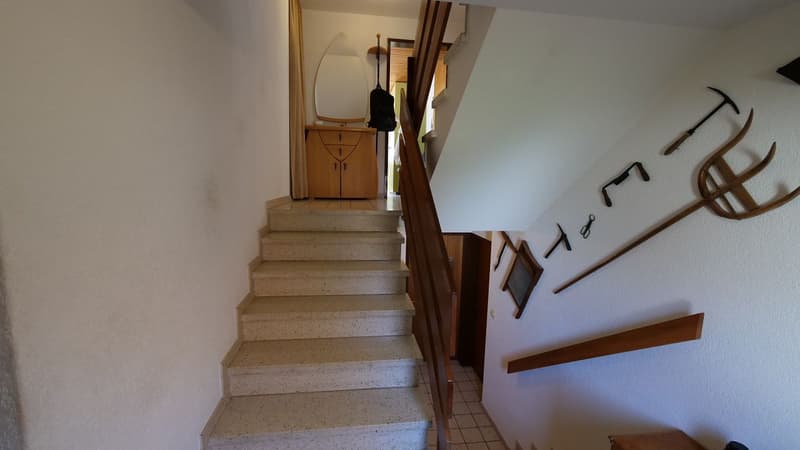 5.5 ZIMMER, GERÄUMIG, RUHIG GELEGEN, BEZAHLBAR UND MIT VIEL POTENTIAL (10)