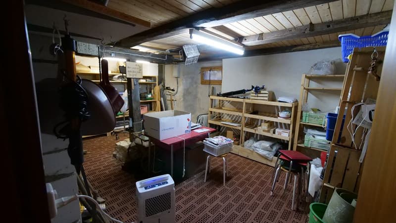 5.5 ZIMMER, GERÄUMIG, RUHIG GELEGEN, BEZAHLBAR UND MIT VIEL POTENTIAL (20)