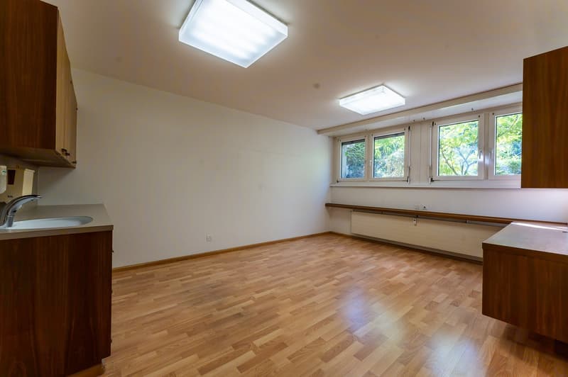 room, kitchen area, window, sink, countertop, cabinets, radiator