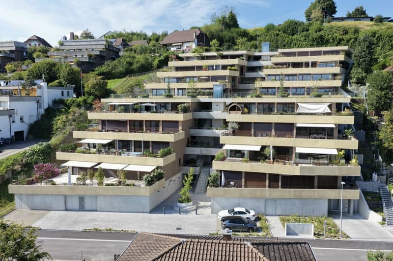 APPARTEMENT DE TERRASSE LUMINEUX (1)