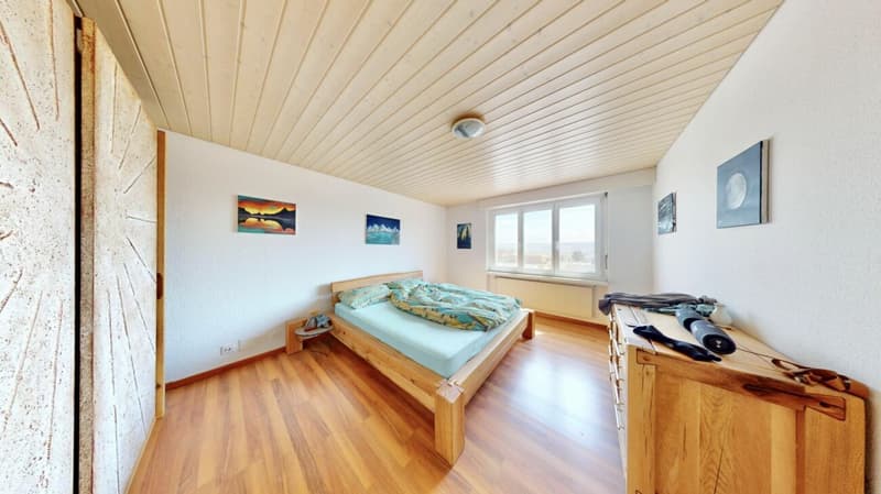 Great attic apartment with panoramic terrace, Alpine view (4)