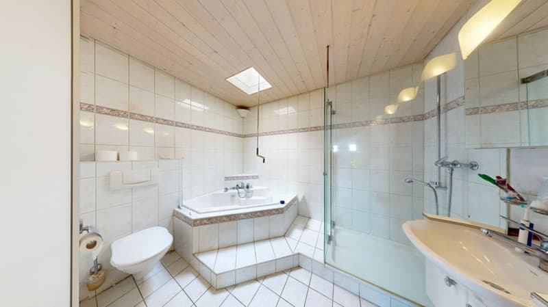 Great attic apartment with panoramic terrace, Alpine view (6)