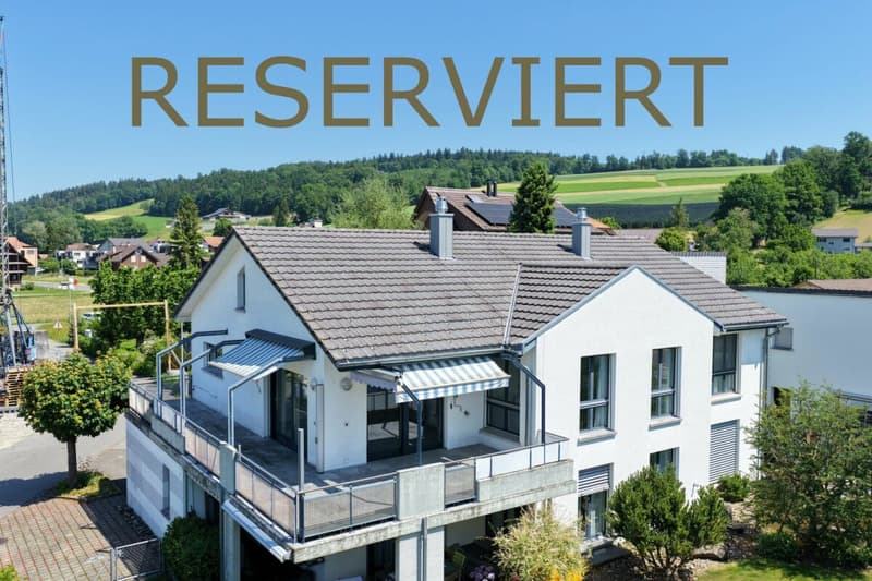 Maisonette attique unique avec terrasse ensoleillée (1)