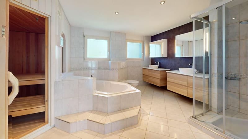 Maisonette attique unique avec terrasse ensoleillée (9)