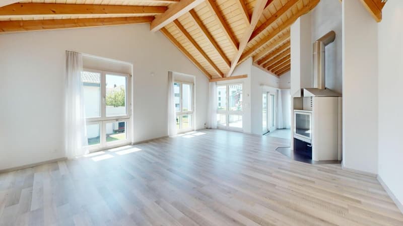 Maisonette attique unique avec terrasse ensoleillée (5)