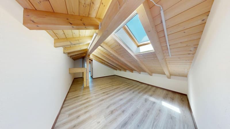Maisonette attique unique avec terrasse ensoleillée (12)