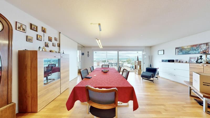 TRAUMHAFTE TERRASSENWOHNUNG MIT ALPENPANORAMA (3)