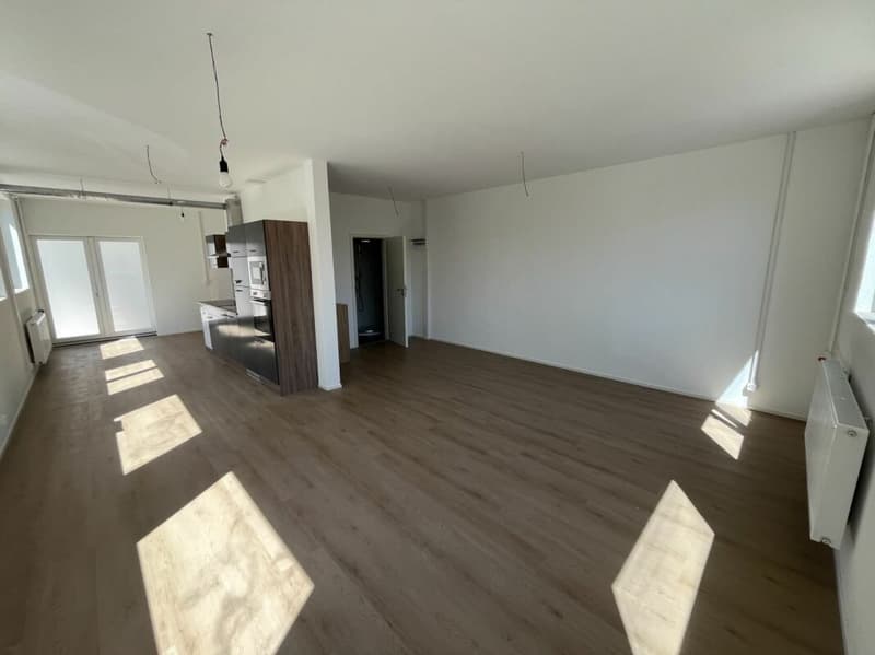 Gewerbefläche zu vermieten - Langendorf (8)