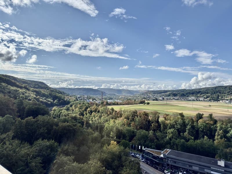 RENOVIERTE 2½-ZIMMER-WOHNUNG MIT WEITBLICK (1)