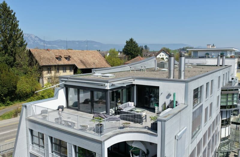 Traumhafte Attikawohnung mit grosser Terrasse (9)