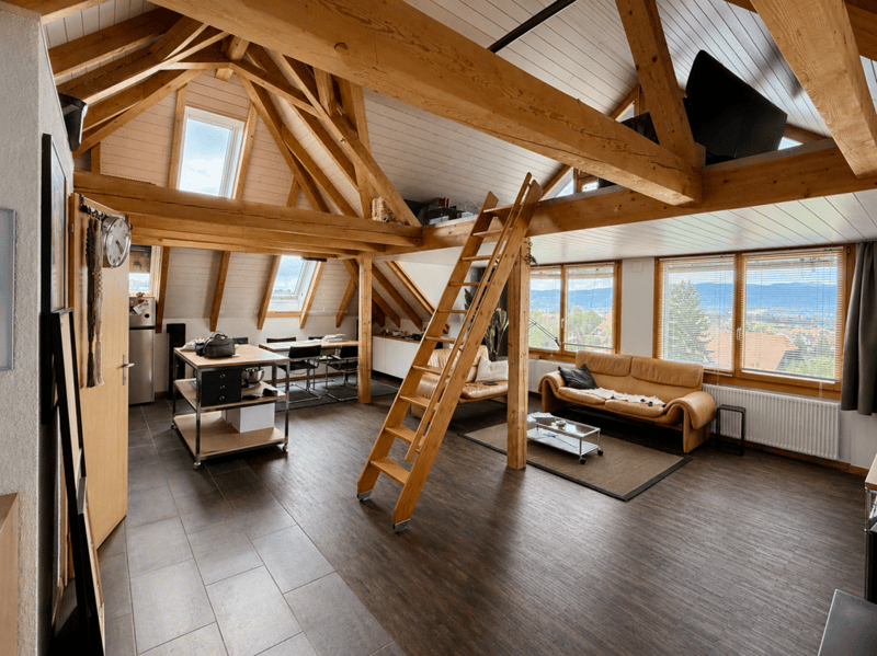 UNVERBAUBARER WEITBLICK ÜBER DEN JURA (5)