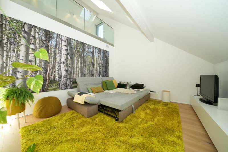 Einzigartige moderne Galeriewohnung an ruhiger Lage (7)