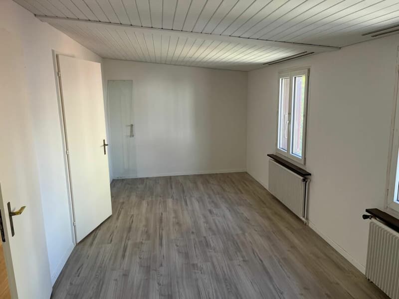 Neu renovierte Wohnung mit Schwedenofen, Garage & Parkplatz (8)