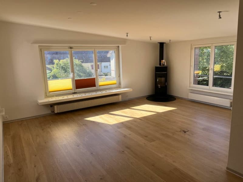 Neu renovierte Wohnung mit Schwedenofen, Garage & Parkplatz (1)
