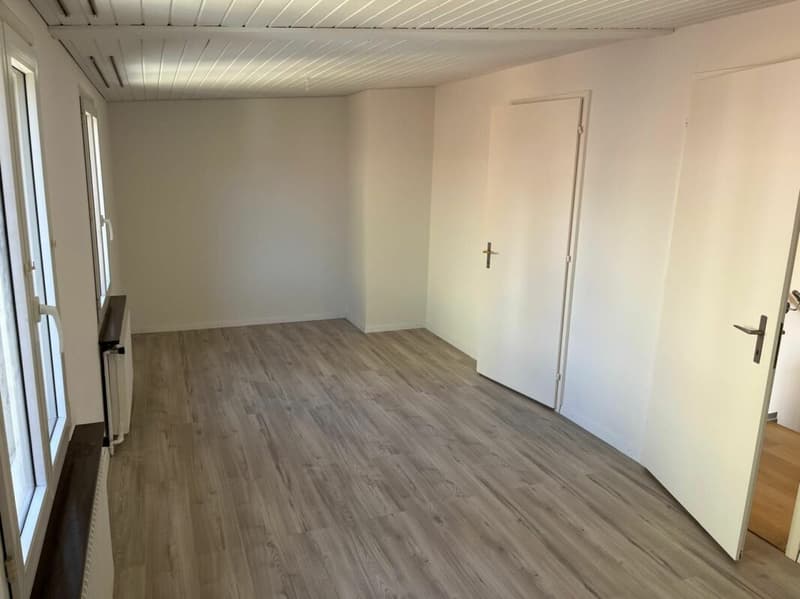 Neu renovierte Wohnung mit Schwedenofen, Garage & Parkplatz (7)