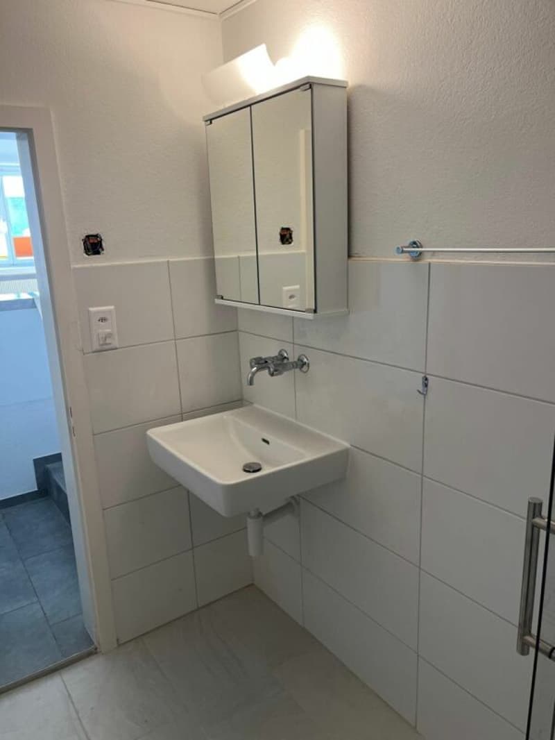 Neu renovierte Wohnung mit Schwedenofen, Garage & Parkplatz (13)