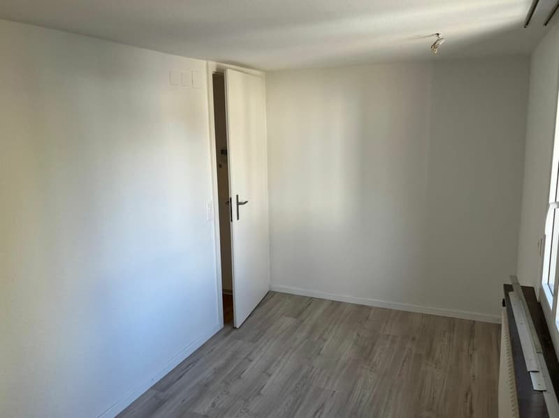 Neu renovierte Wohnung mit Schwedenofen, Garage & Parkplatz (10)