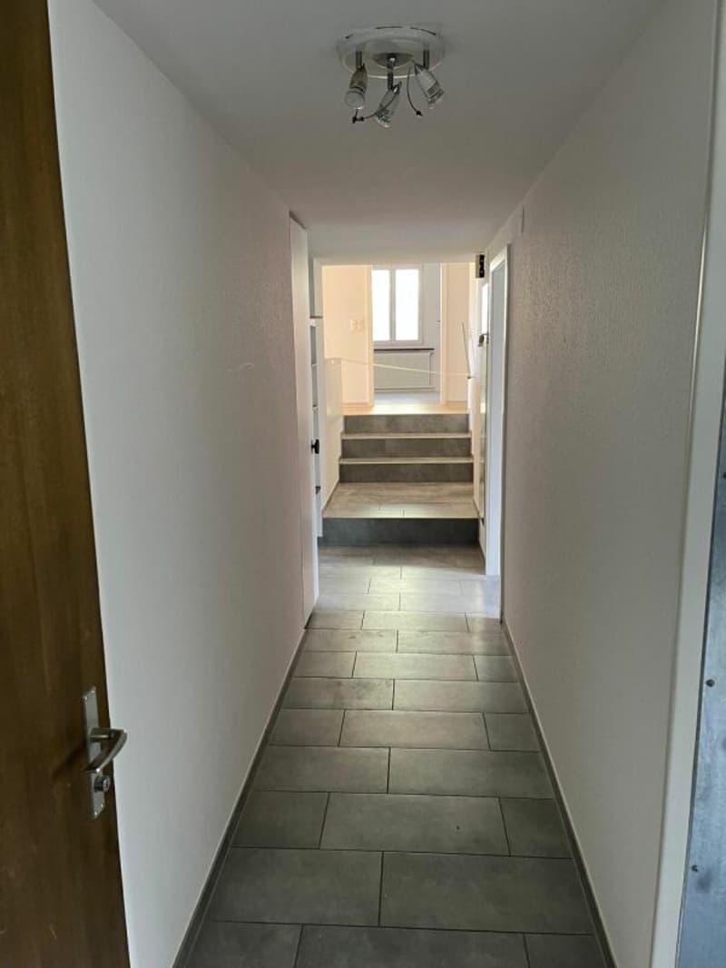 Neu renovierte Wohnung mit Schwedenofen, Garage & Parkplatz (14)