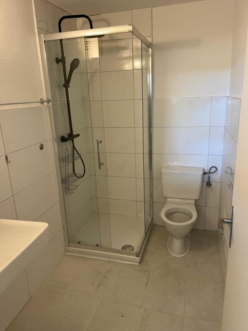 Neu renovierte Wohnung mit Schwedenofen, Garage & Parkplatz (12)