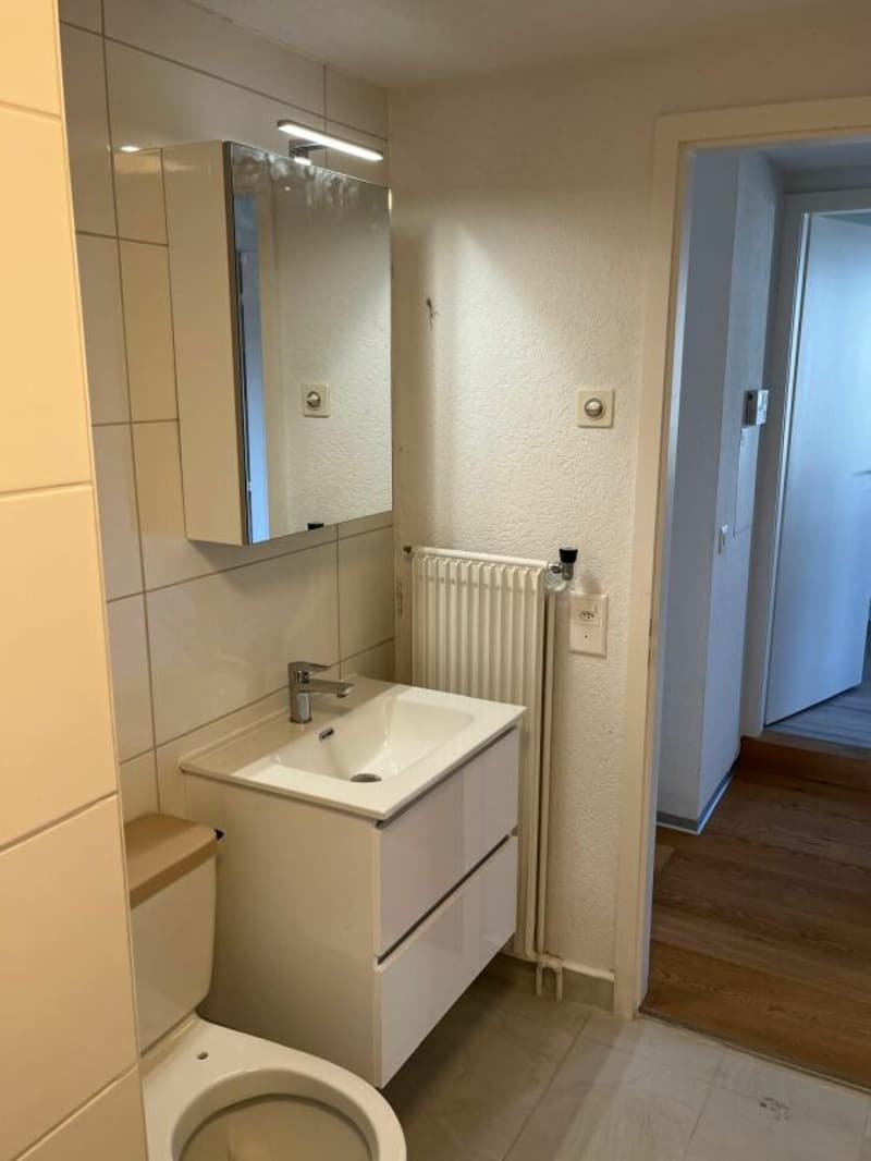 Neu renovierte Wohnung mit Schwedenofen, Garage & Parkplatz (9)