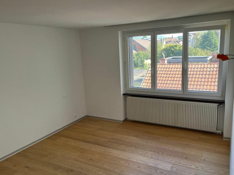 Neu renovierte Wohnung mit Schwedenofen (11)