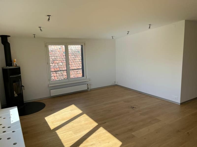 Neu renovierte Wohnung mit Schwedenofen (2)