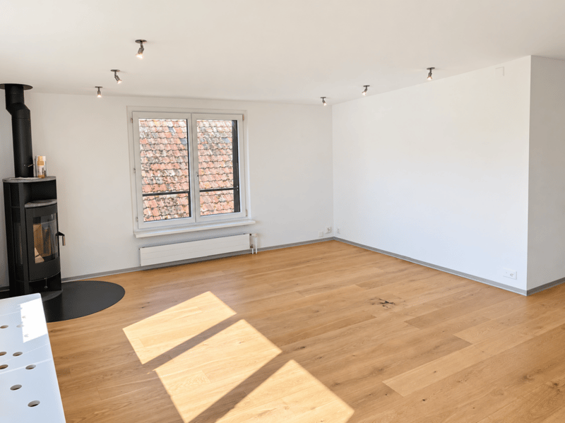 Neu renovierte Wohnung mit Schwedenofen (2)