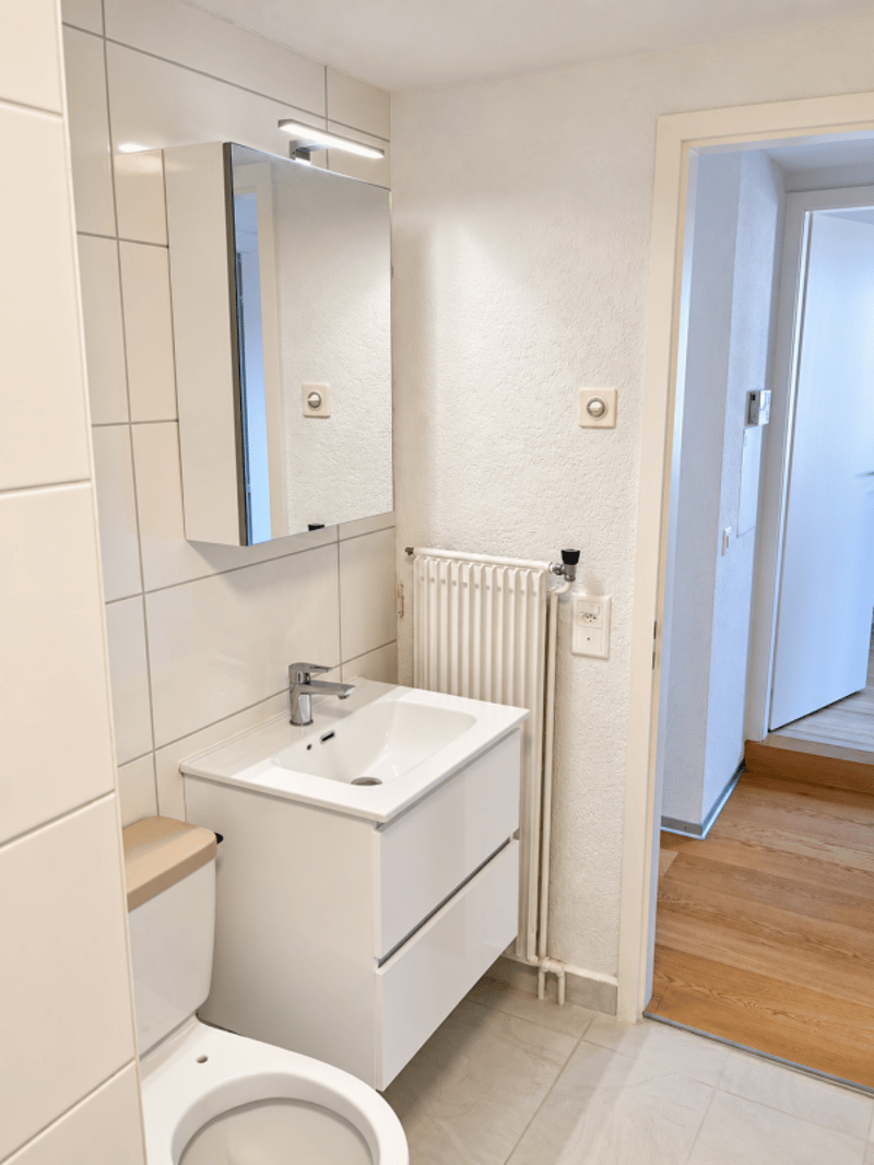 Neu renovierte Wohnung mit Schwedenofen (11)