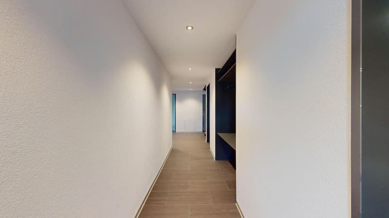 UNVERBAUBARER WEITBLICK ÜBER DEN JURA (10)