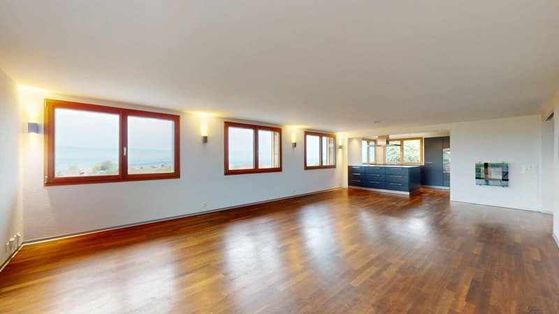 UNVERBAUBARER WEITBLICK ÜBER DEN JURA (4)