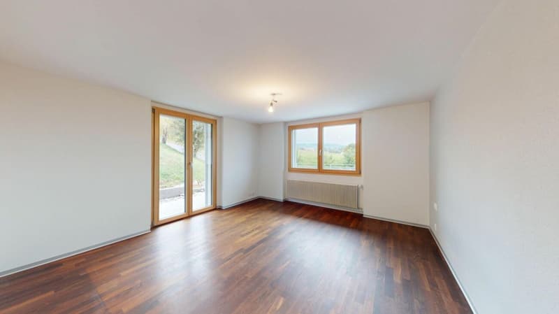 UNVERBAUBARER WEITBLICK ÜBER DEN JURA (7)