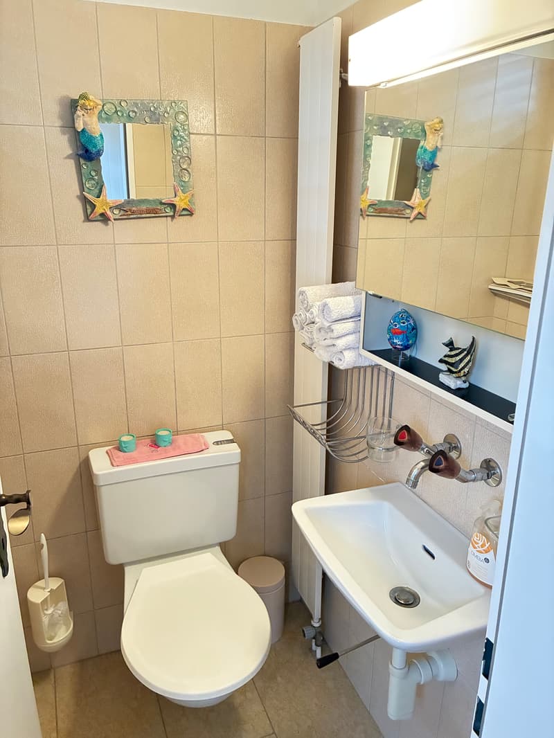 Charming single-family house with pool in Stüsslingen (12)