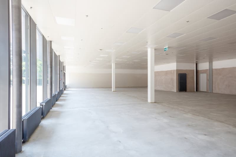 Large open floor plan with concrete flooring, white walls, and multiple columns supporting the ceiling. The space has large windows along one side, providing natural light. There are no visible furnishings or fixtures, indicating this is an unfinished or