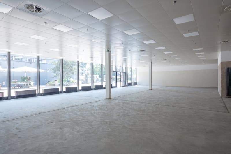Empty room with white ceiling, concrete floor, glass windows, and metal pillars