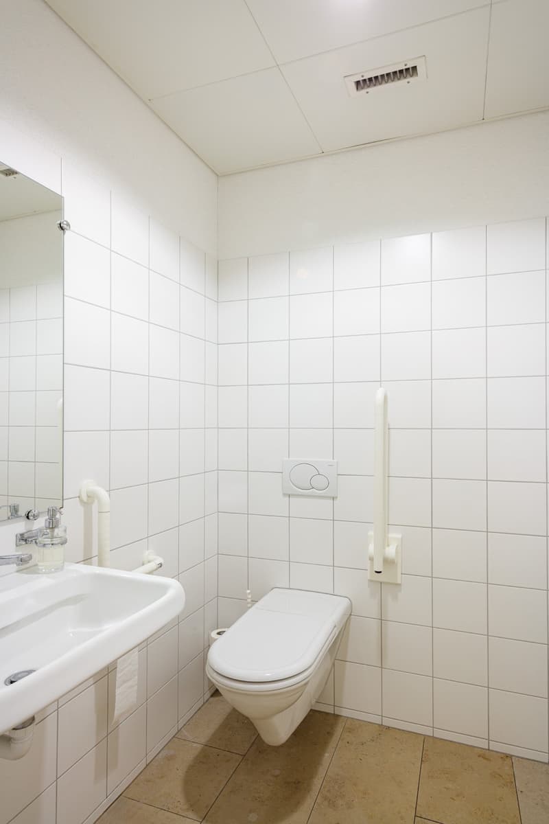 small white tiled bathroom with sink, toilet, mirror, grab bars