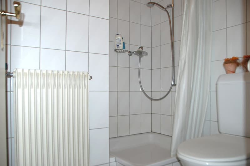 Bathroom with white tiles, toilet, radiator, and shower. Shower has a showerhead and soap dispenser.