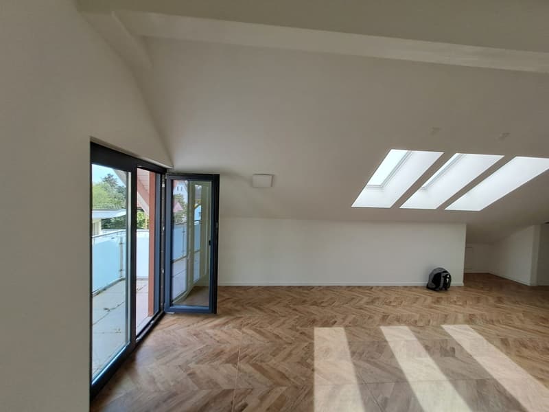 empty room, wooden floor, white walls, glass sliding doors, skylights
