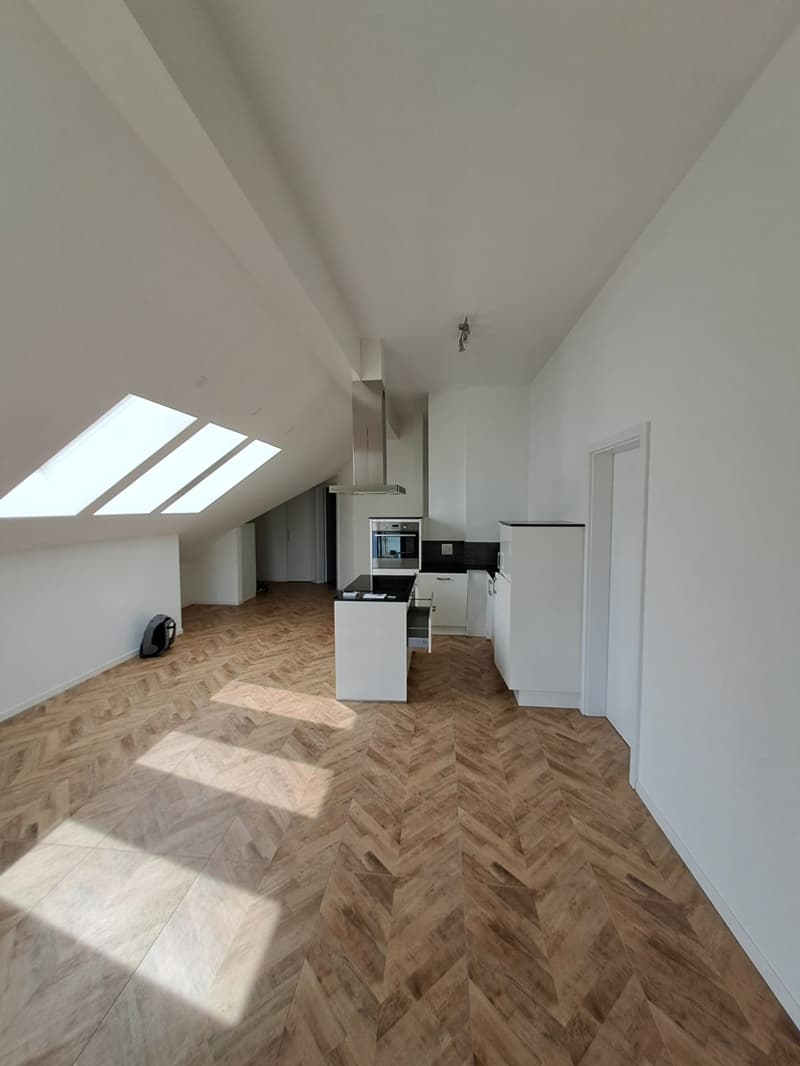 open space, wooden floor, white walls, kitchen area, skylights