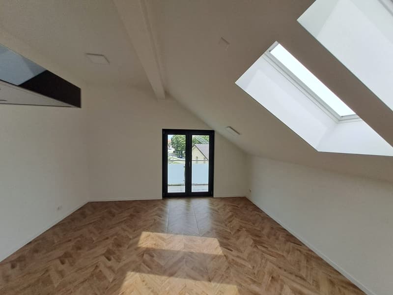 empty room, wooden floor, glass door, skylights