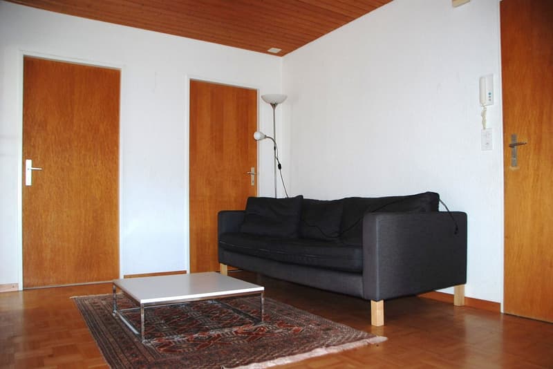 Cozy 3.5 room apartment with balcony and garage in Moosseedorf (7)