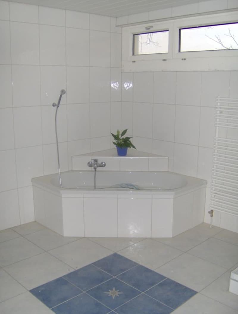 Appartamento unico e bello di 3,5 locali in campagna con un pozzo (9)