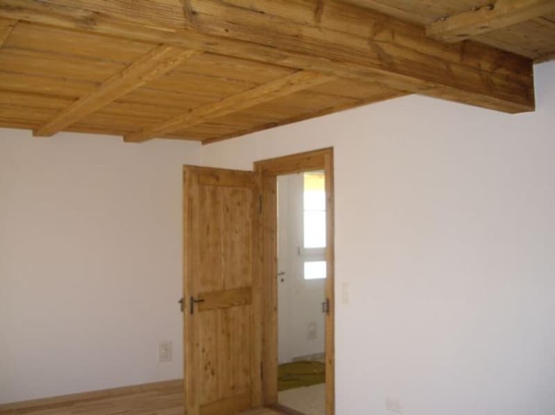 Appartamento unico e bello di 3,5 locali in campagna con un pozzo (5)