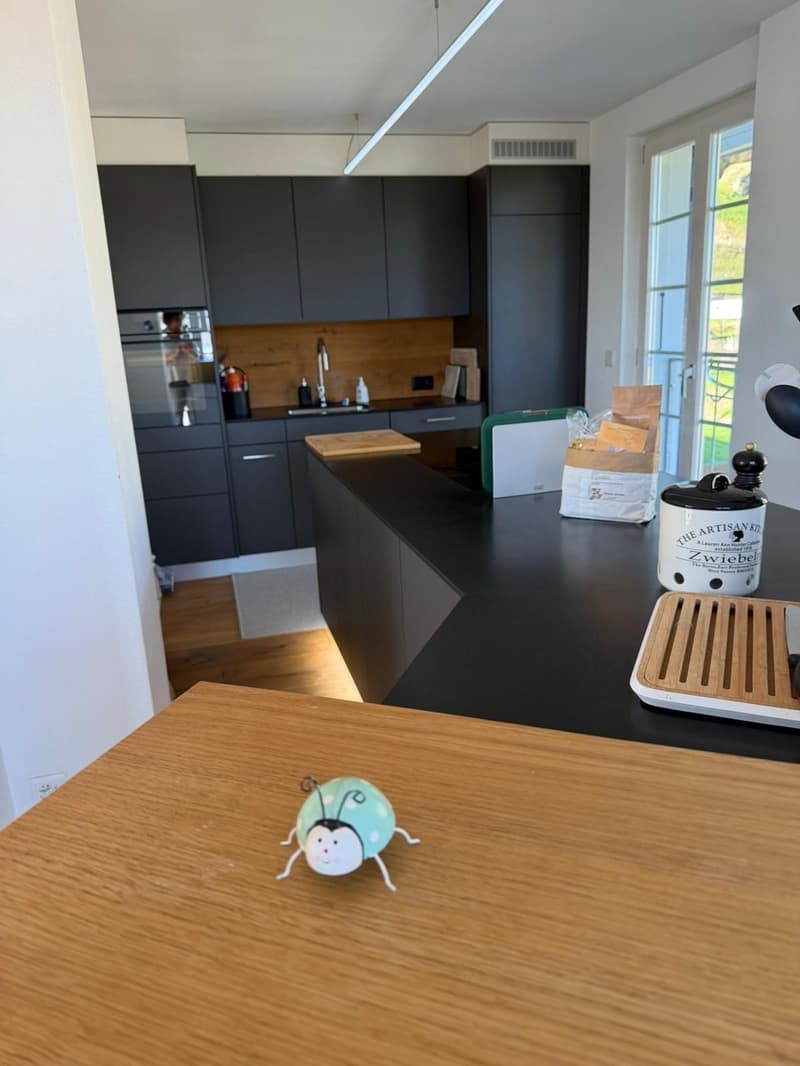 Charming semi-detached house with 2 apartments in a quiet location in Oberburg (18)